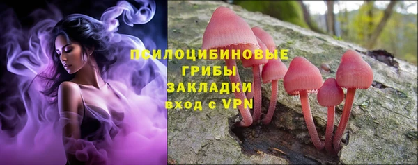 мяу мяу мука Нязепетровск